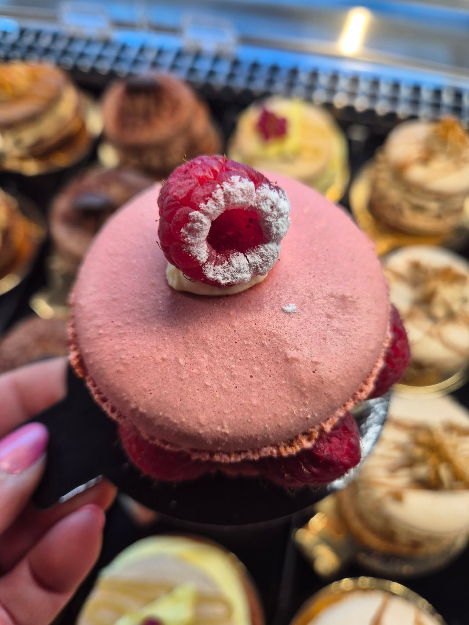 Macaron framboise